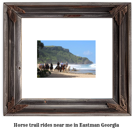 horse trail rides near me in Eastman, Georgia